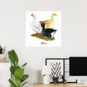 Poster Goose Trio (Bureau à domicile)