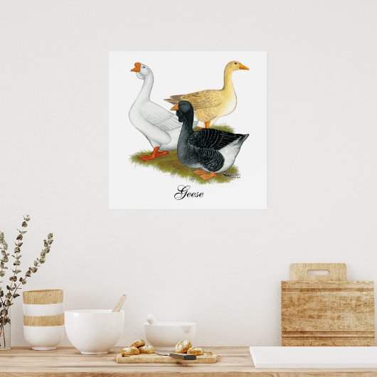 Poster Goose Trio (Cuisine)