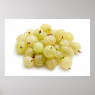 Poster Gooseberries