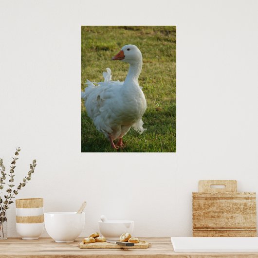 Poster Goosey (Cuisine)