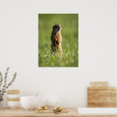 Poster Gopher (Cuisine)