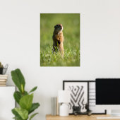 Poster Gopher (Bureau à domicile)