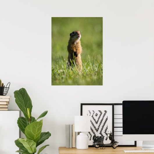 Poster Gopher (Bureau à domicile)