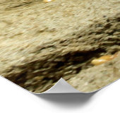 Poster Gopher_005 (Coin)