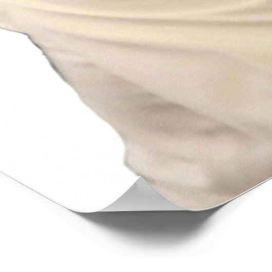 Poster Gordon Ramsay (Coin)