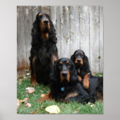 Poster Gordon Setter Generations Canvas Imprimer (Devant)