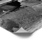 Poster Gordonton, Caroline du Nord : 1939 (Coin)