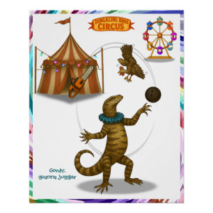 Poster Gordy, jongleur de goannas
