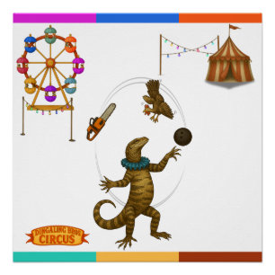 Poster Gordy, jongleur de goannas