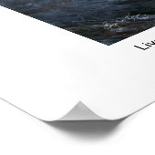 Poster Gorge Livermore Falls, Plymouth, NH (Coin)