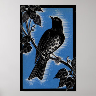 Poster gorge noire avec bleu