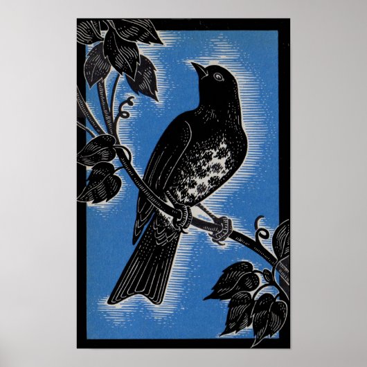 Poster gorge noire avec bleu (Devant)
