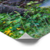 Poster Gorge Sunrift Dans Le Parc National Glacier, Monta (Coin)