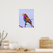 Poster Gorgeous Lilac-Breasted Roller African Bird (Cuisine)
