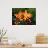 Poster Gorgeous Orange Yellow Rhyncattleanthe Orchid (Cuisine)