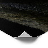 Poster Gorilla (Coin)