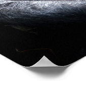 Poster Gorilla (Coin)