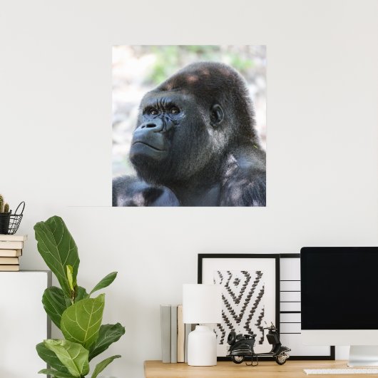Poster Gorilla Argent Back (Bureau à domicile)