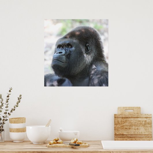 Poster Gorilla Argent Back (Cuisine)