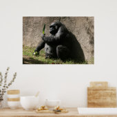 Poster Gorilla des basses terres occidentales (Cuisine)