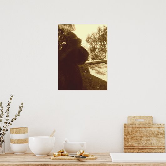 Poster Gorilla Dreams (Cuisine)