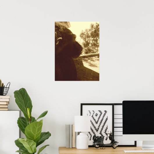 Poster Gorilla Dreams (Bureau à domicile)