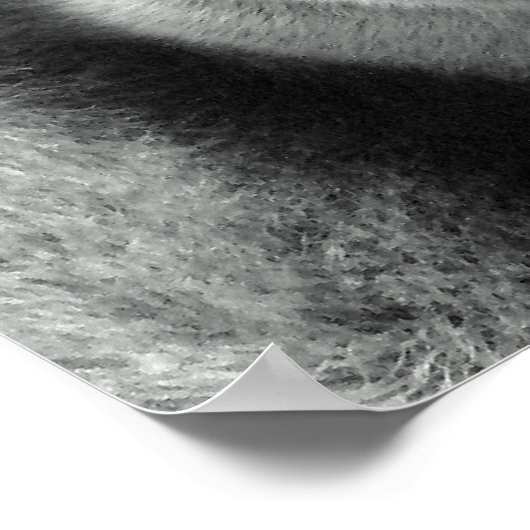 Poster Gorilla en noir et blanc (Coin)