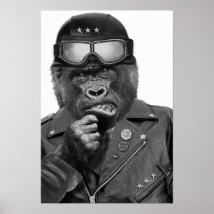 Poster Gorilla Guy