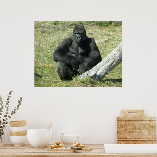 Poster Gorilla Lowland (Cuisine)