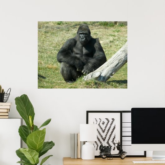 Poster Gorilla Lowland (Bureau à domicile)