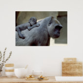 Poster Gorilla mère et bébé (Cuisine)