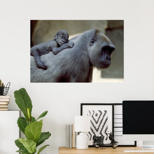 Poster Gorilla mère et bébé (Bureau à domicile)