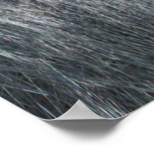 Poster Gorilla Ozala (Coin)