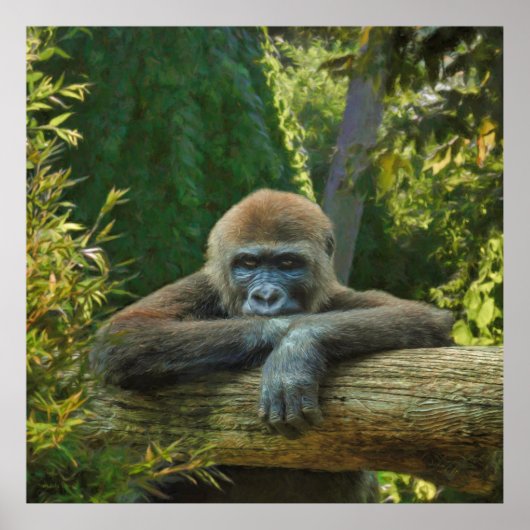 POSTER GORILLA "SAUVER NOS ESPÈCES" (Devant)