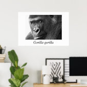 Poster Gorille-#1-Gorilla gorilla (Bureau à domicile)