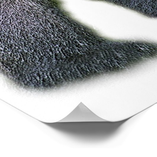 Poster Gorille argentée, dos blanc (g2p2) (Coin)