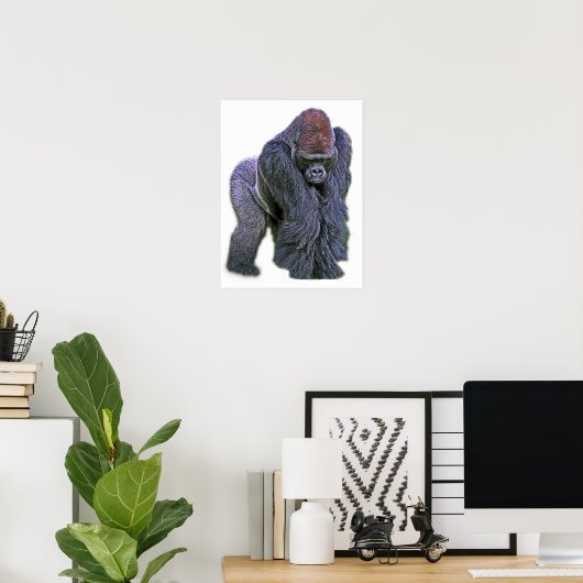 Poster Gorille argentée, dos blanc (g2p2) (Bureau à domicile)