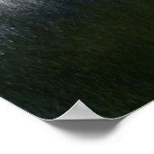 Poster Gorille D'Argent Et Sa Couverture (Coin)