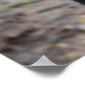 Poster Gorille de montagne/ Mère & Bébé (Coin)