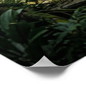 Poster Gorille de Pierre Art Monolithique Jungle (Coin)