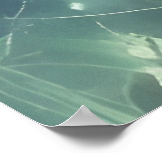 Poster Gorille et Plante (Coin)