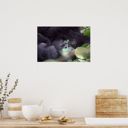 Poster Gorille lunaire (Cuisine)