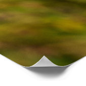 Poster Gorille Reposée Sur Un Arbre (Coin)