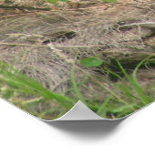 Poster gorilles 002 toile (Coin)