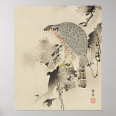 Poster Goshawk asiatique - 1890 (Devant)