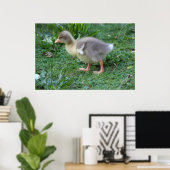 Poster Gosling (Bureau à domicile)