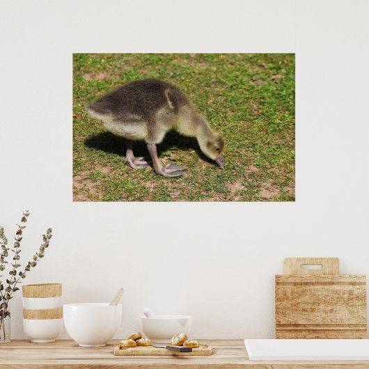 Poster Gosling (Cuisine)