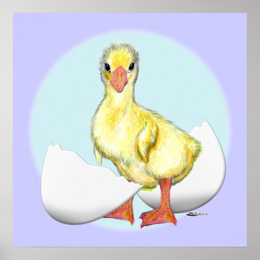 Poster Gosling : Je viens d'éclos (Devant)