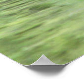 Poster Goslings dorés (Coin)