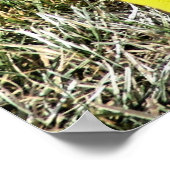 POSTER "GOT GAME" (Coin)